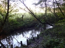 Impressionen