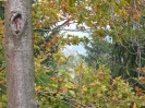 Schnatgang 2007